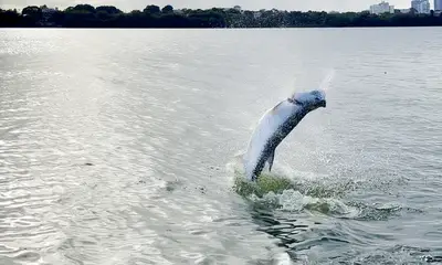 San Juan Report Video 0