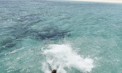 amazing Trip with 7 kids 4 adults  