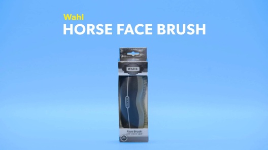 Play Video: Learn More About Wahl From Our Team of Experts