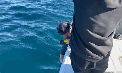 Fish and trip of a lifetime!! 