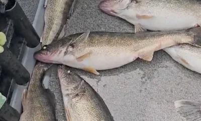Lakeside Marblehead Report Video 0