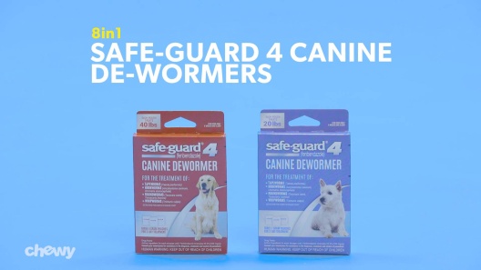 SAFE-GUARD Dewormer for Hookworms, Roundworms, Tapeworms & Whipworms for  Large Breed Dogs, 3 day treatment 