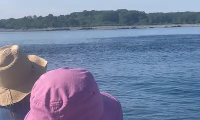 Kittery Report Video 0