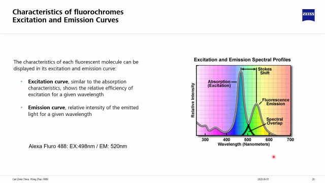 Mastering Sample Prep for Fluorescence Microscopy