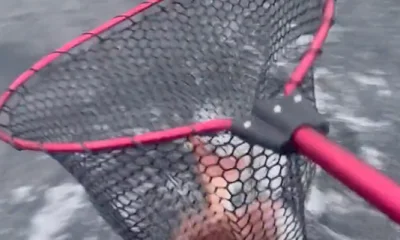 Melbourne Report Video 0