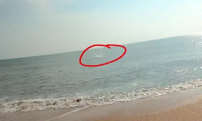 Flagler Beach Report Video 0
