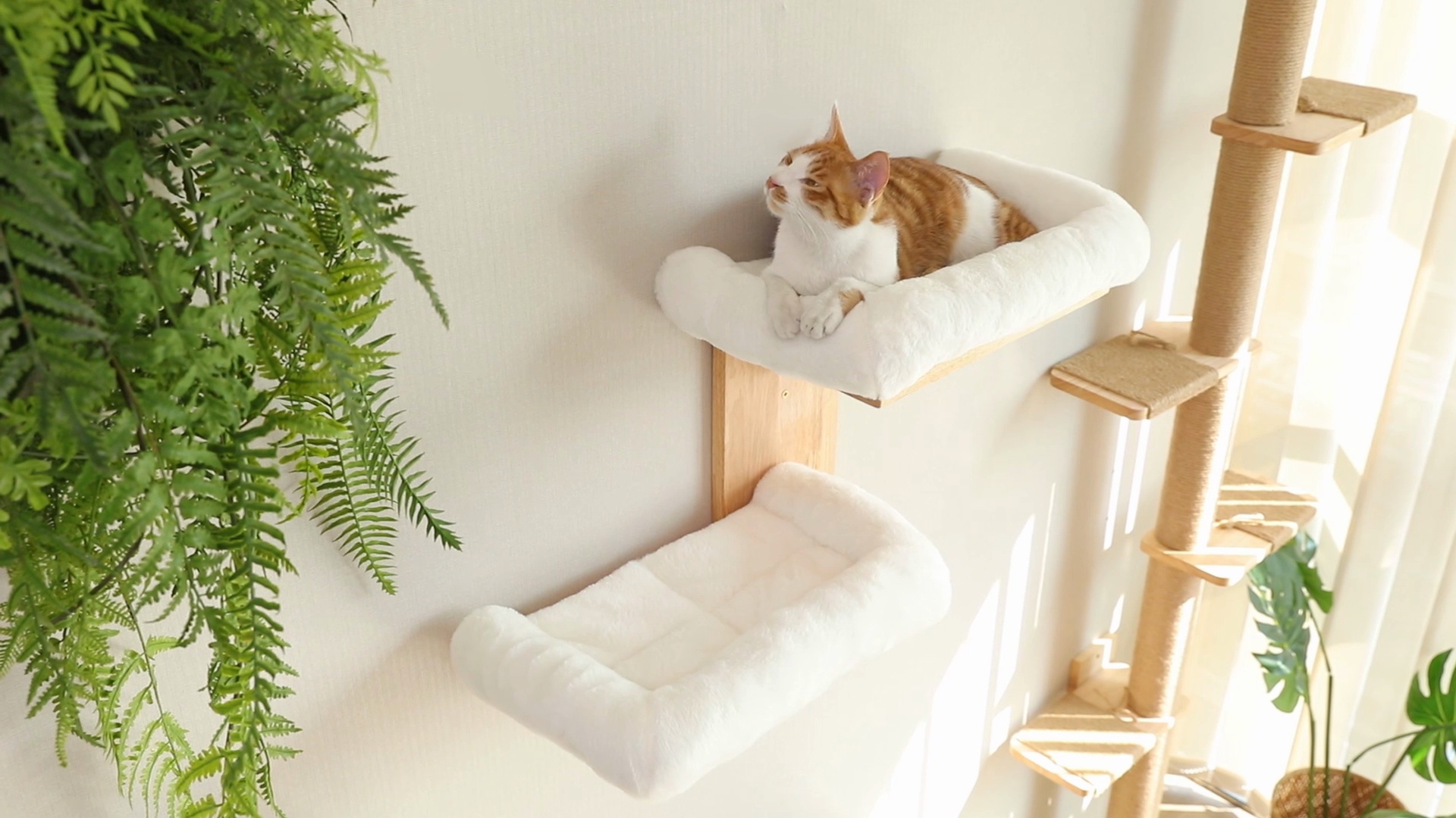 FUKUMARU Solid Rubber Wood Tree Shape Wall Mounted Cat Wall Shelf