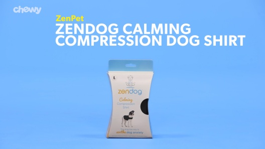 Play Video: Learn More About ZenPet From Our Team of Experts