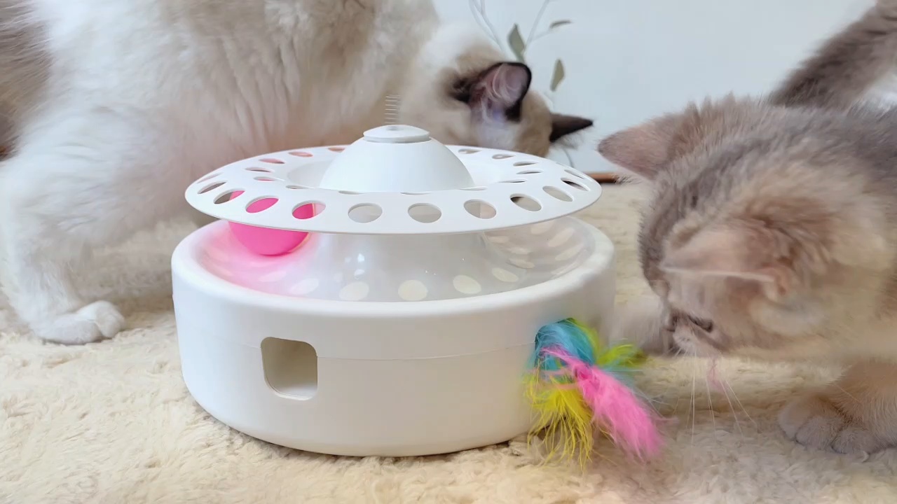 ボーダーファインアーツ 【BP23・Tom Kitten Butterfly】 POTAROMA 3 in 1 Automatic Interactive Butterfly Cat Toy - Chewy.com