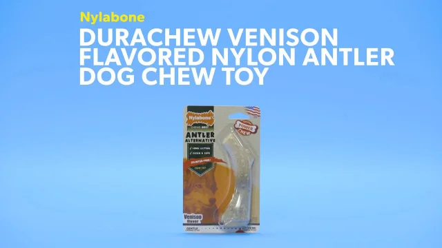 Medium Nylabone Dura Chew Nylon Antler Dog Chew Toy 