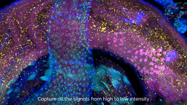 SOLAR CELL 両軸リール オレンジライン SOLAR CELL 両軸リール オレンジライン