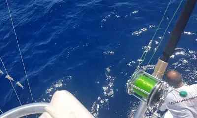 Faro Report Video 0