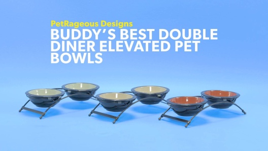 Top Paw Elevated Double Diner Pet Feeder - 12 in