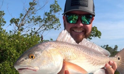 December Redfish bite ❄️