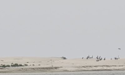Great first ocean trip