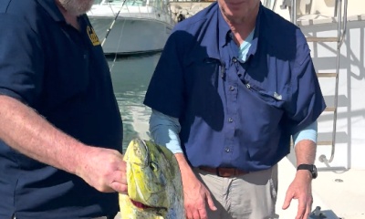 San Jose del Cabo Verslag Video 0