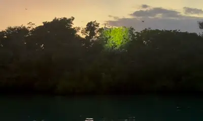 Perfect Sunset Cruise with Captain Pat