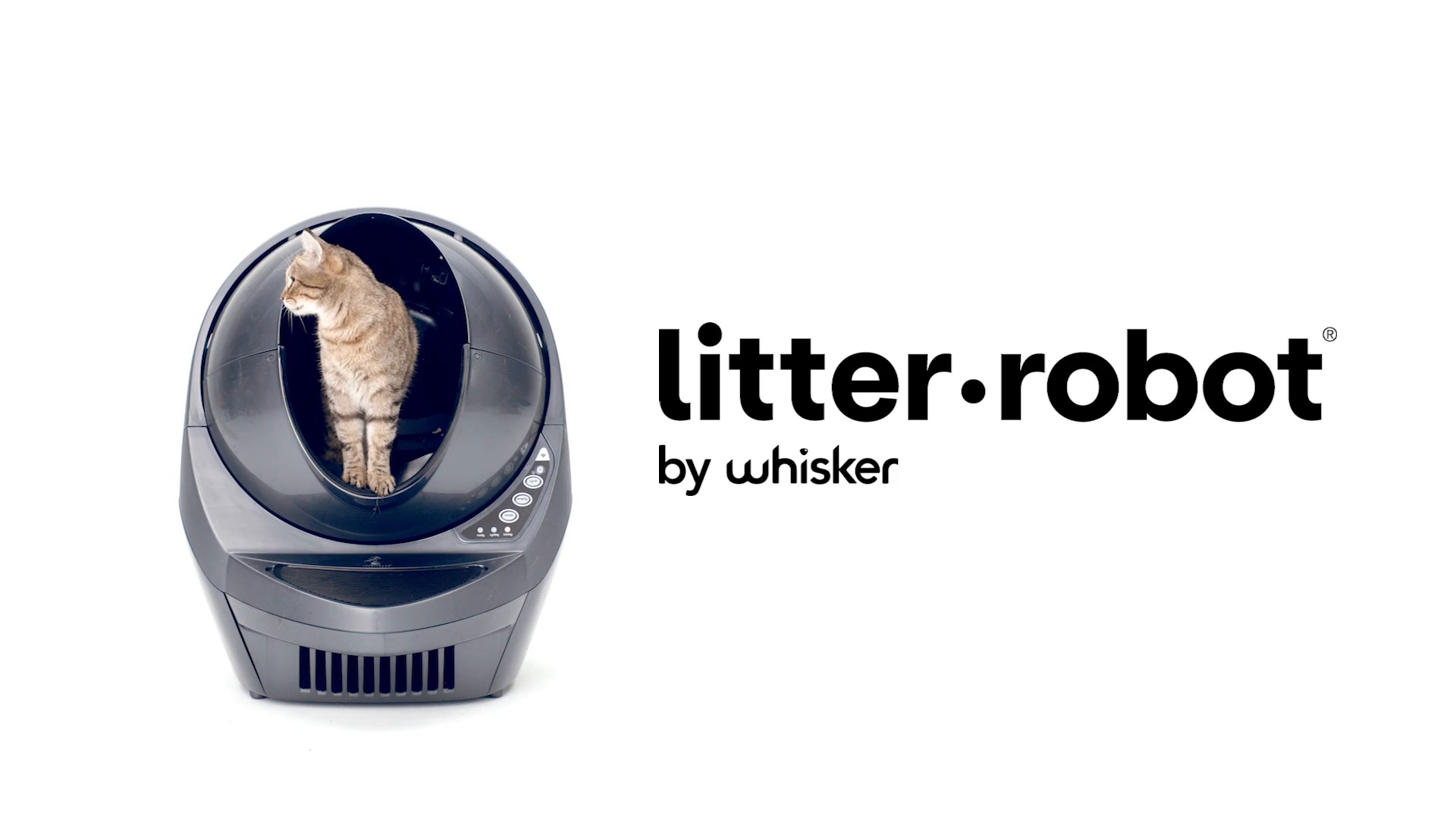 litter robot directions