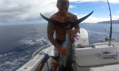 Moorea-Maiao Report Video 0