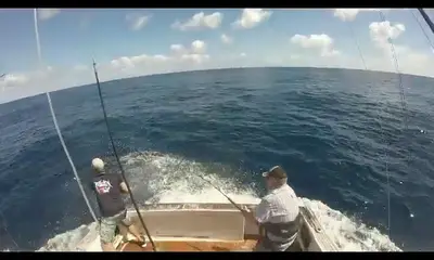 Sydney Report Video 0