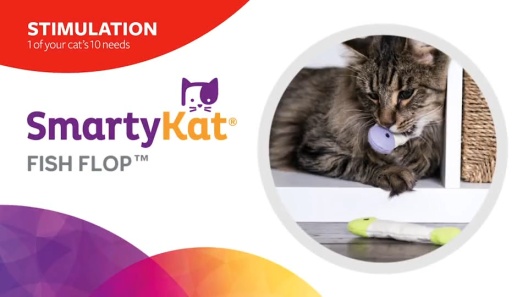 Play Video: Learn More About SmartyKat From Our Team of Experts