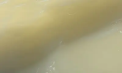 Matagorda Verslag Video 1