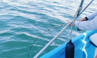 Mexico Video Report 2