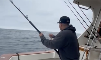 Dana Point Report Video 2