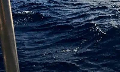 Fishing Trip During the Christmas Holidays 