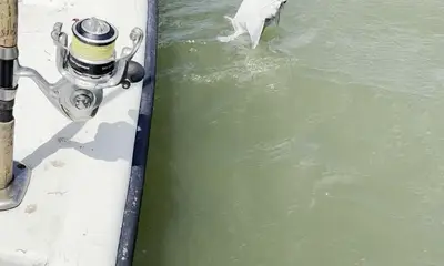 Caught a STINGRAY!