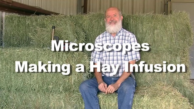 types of microorganisms in hay infusion