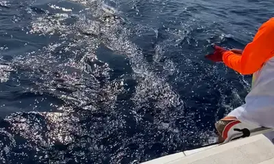 Cozumel Report Video 0