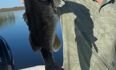 Clewiston Report Video 0