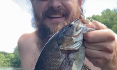 Cambridge Report Video 0