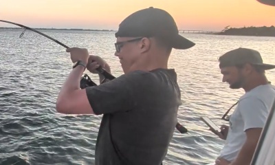 Beautiful evening with lots of fish and a shark or two 