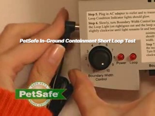 Fashion petsafe blinking red light