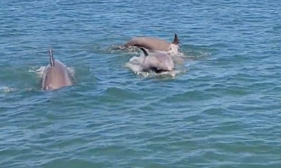 Atlantic City Report Video 0