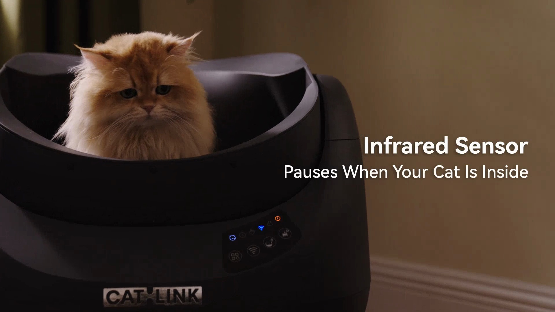 CATLINK Open-X Self-Cleaning Automatic Cat Litter Box with Anti