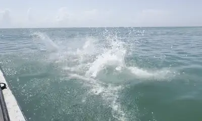 Port Isabel Report Video 0