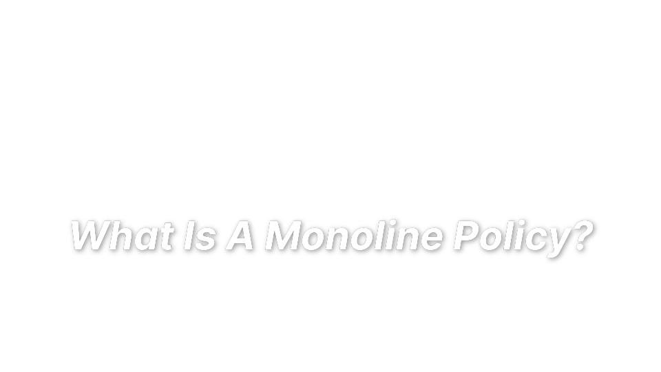 

What Is A Monoline Policy?