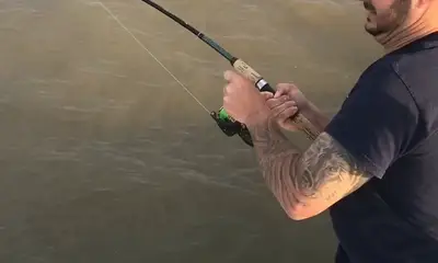 Venice Report Video 0