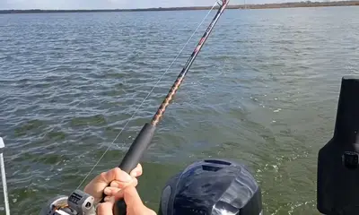 San Antonio Report Video 2