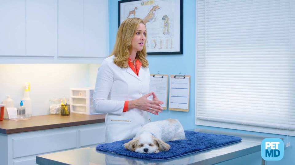 how much kaopectate can i give a dog