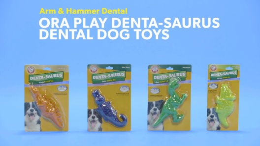 ARM & HAMMER PRODUCTS Ora Play Denta-Saurus Mint Tough Dog Chew Toy,  Alligator 