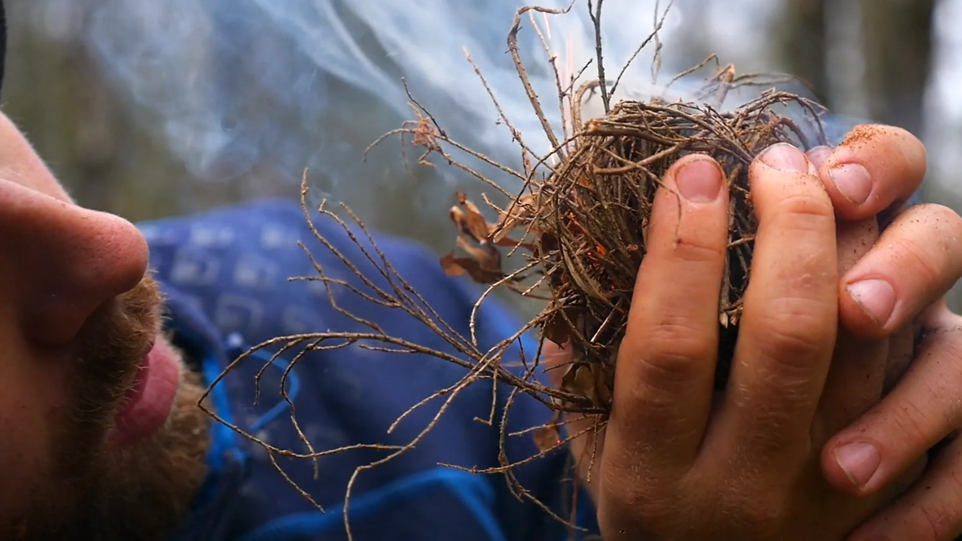 The Immersion At Wilderness Awareness School