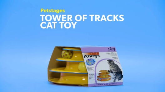 Play Video: Learn More About Catstages From Our Team of Experts