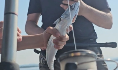 Umag Report Video 0
