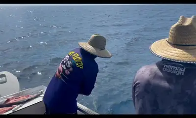 Queensland Report Video 1