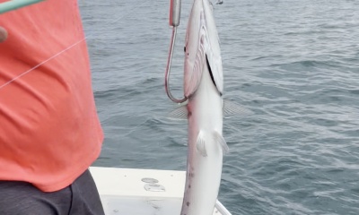 best fishing on the gulf