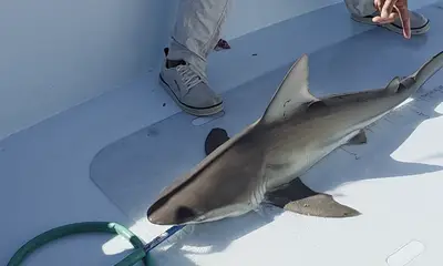 Great day on the water!
